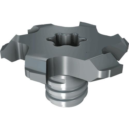 イスカル マルチマスター 溝加工対応ヘッド 2個 MM TS225C273T175-6T08:IC928