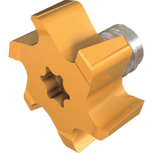 イスカル マルチマスター MM TS(T溝加工用ヘッド) IC908 2個 MM TS165-H40D-06T06:IC908