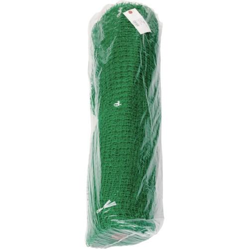 (貨物輸送別途)(直送品)Dio ポリ有結ゴルフサイバー空間 25粍角目 1m×30m 緑 300704 ゴルフ-ゴルフ練習器具