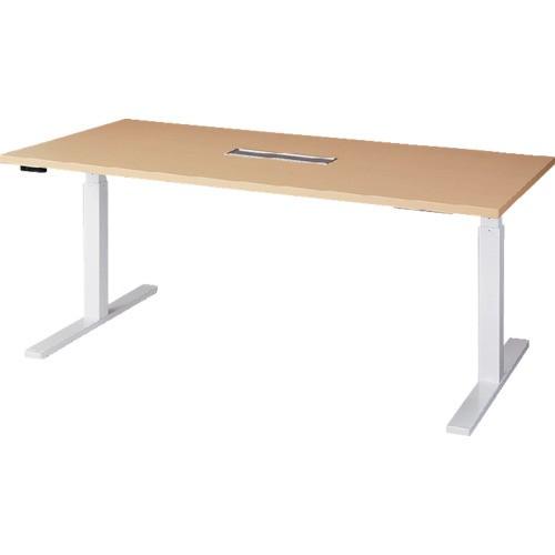 (送料別途)(直送品)ナイキ 昇降テーブル リフティーナ LTM2110H-WS