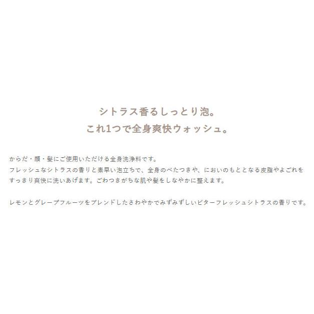 【国内正規品】イグニス　サニーサワー オールウォッシュ 400ml｜kgb-store｜02
