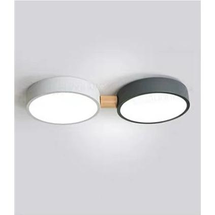 ランプ シーリングライト ペンダントライト LED 天井照明 寝室 廊下 玄関 クロークルーム インテリア 工事必要 ブラケット 2灯 子供部屋 吊り下げ 壁掛け
