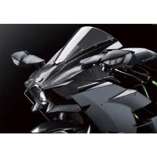 Kawasaki ＮｉｎｊａＨ２ ('18用) カーボンカウリングキット 999941006
