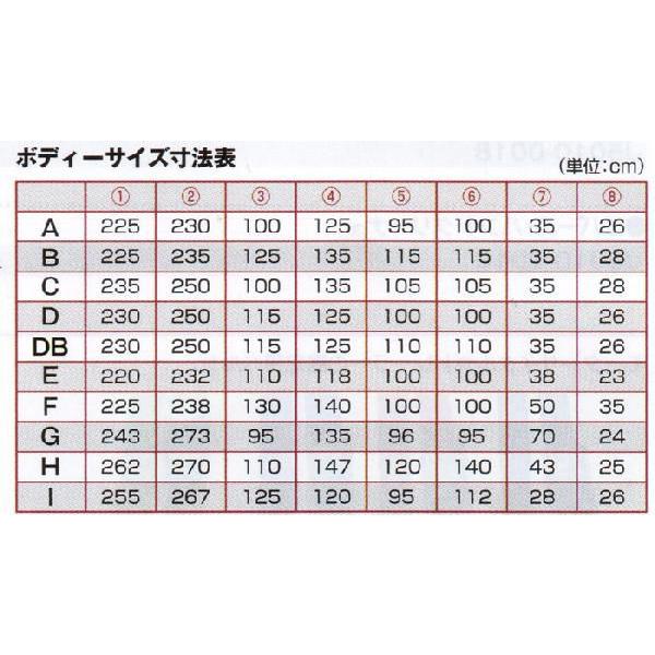 Kawasaki カワサキ スーパーバイクドレス Ｅ J2015-0104の画像