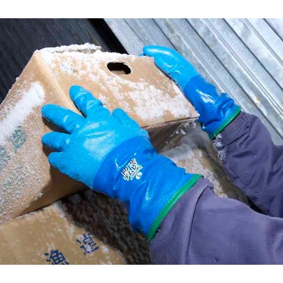 当店の記念日 防寒テムレス 3l 1双 旧パッケージ品 ショーワグローブ ブルー 2 防寒手袋 冬山登山 農業 冷凍 冷蔵庫内作業 Showa 防水 Discoversvg Com