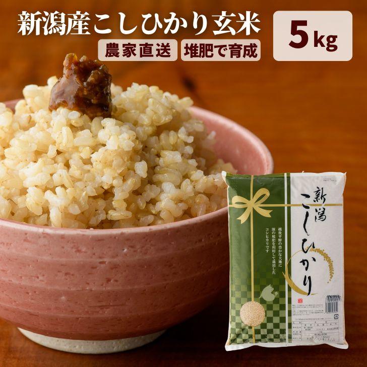コシヒカリ 米 5kg 令和7年産 玄米 5kg 新潟県産 米5kg 令和6年 新潟 