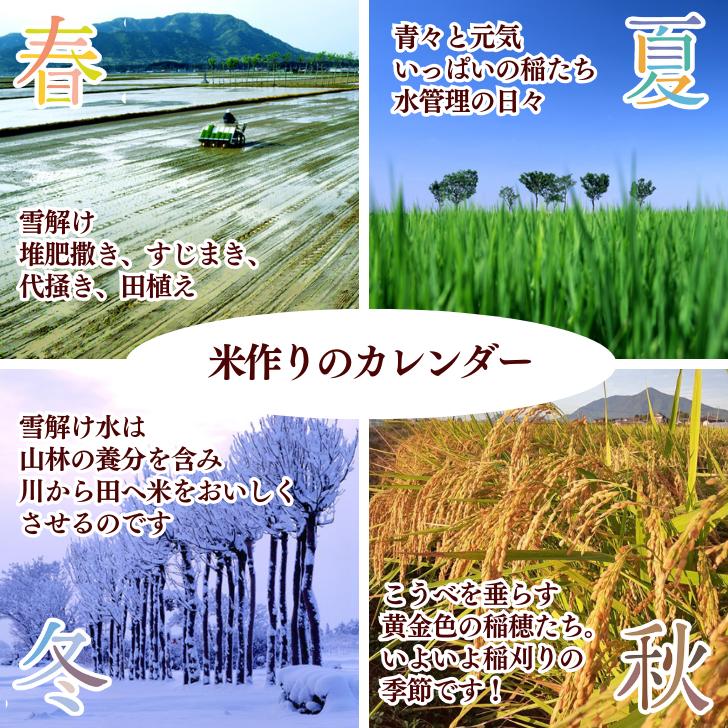 5年産 玄米 通販 米 新潟 産 コシヒカリ 玄米 5kg こしひかり 減農薬 農家 直送 生産者 コシヒカリ 5kg 新潟県産 玄米 おすすめ 玄米 販売 米5kg｜kgtomioka｜13