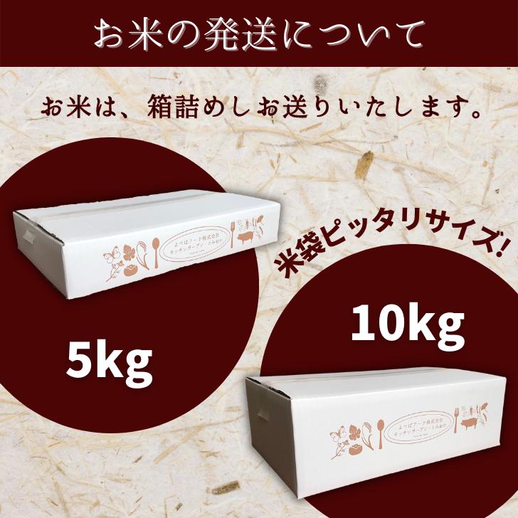 5年産 玄米 米 新潟 産 コシヒカリ 玄米 10 キロ こしひかり 玄米 10kg 堆肥 育成 減農薬 農家 直送 生産者 コシヒカリ 新潟県産 玄米 美味しい 米10kg｜kgtomioka｜18