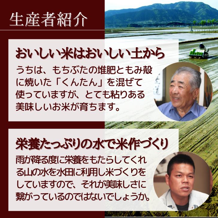 5年産 米 新潟 コシヒカリ 玄米 30kg コシヒカリ 通販 こしひかり 玄米 30kg 減農薬 農家 直送 生産者 コシヒカリ 新潟県産 精米サービス｜kgtomioka｜13