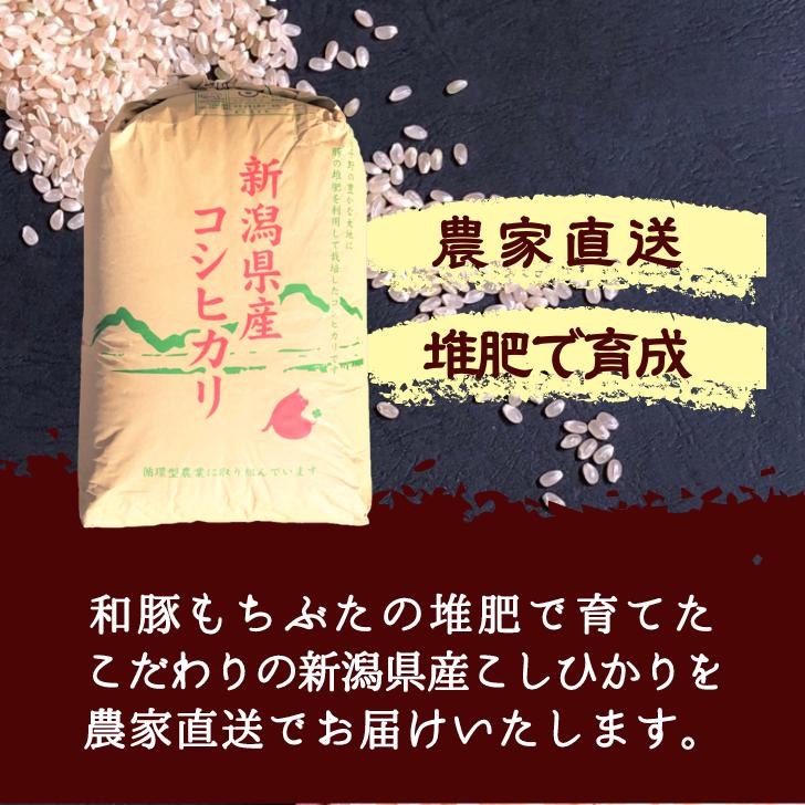 5年産 米 新潟 コシヒカリ 玄米 30kg コシヒカリ 通販 こしひかり 玄米 30kg 減農薬 農家 直送 生産者 コシヒカリ 新潟県産 精米サービス｜kgtomioka｜10