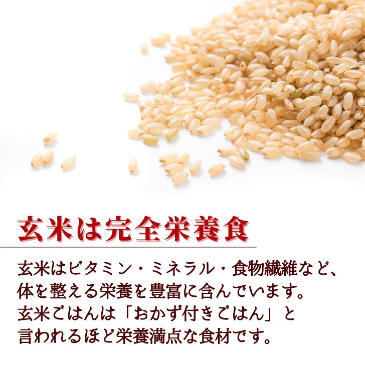 5年産 米 新潟 コシヒカリ 玄米 30kg コシヒカリ 通販 こしひかり 玄米 30kg 減農薬 農家 直送 生産者 コシヒカリ 新潟県産 精米サービス｜kgtomioka｜06