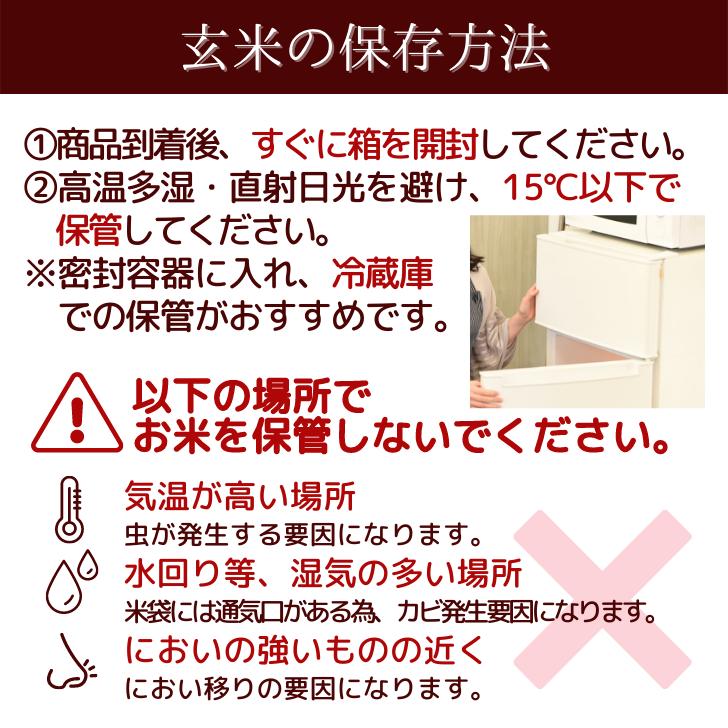 5年産 米 新潟 コシヒカリ 玄米 30kg コシヒカリ 通販 こしひかり 玄米 30kg 減農薬 農家 直送 生産者 コシヒカリ 新潟県産 精米サービス｜kgtomioka｜16