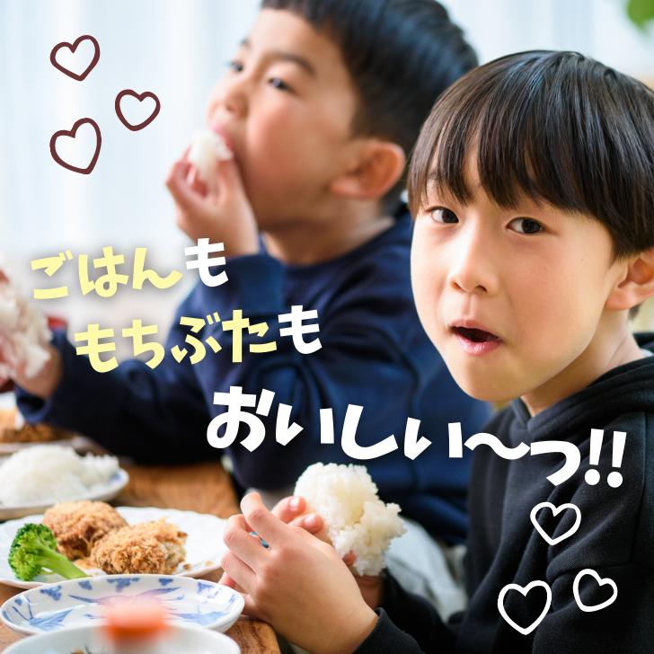 コシヒカリ 【10月再販予定】令和7年産 玄米 30kg 新潟県産 令和 コシヒカリ 【10月再販予定】令和7年産 玄米 30kg 新潟県産 令和