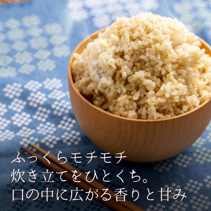 コシヒカリ 【10月再販予定】令和7年産 玄米 30kg 新潟県産 令和 コシヒカリ 【10月再販予定】令和7年産 玄米 30kg 新潟県産 令和