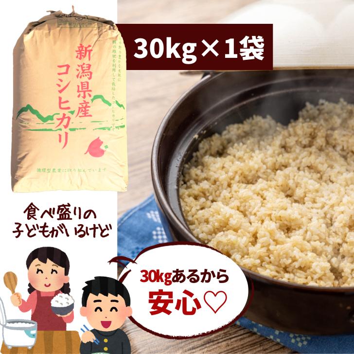 コシヒカリ 【10月再販予定】令和7年産 玄米 30kg 新潟県産 令和 コシヒカリ 【10月再販予定】令和7年産 玄米 30kg 新潟県産 令和