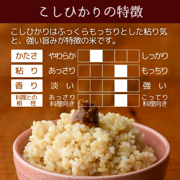 5年産 米 新潟産 こしひかり 玄米 900g 堆肥 育成 甘い もちもち ツヤツヤ 減農薬 農家 直送 生産者 コシヒカリ 新潟県産 ギフト 内祝｜kgtomioka｜05