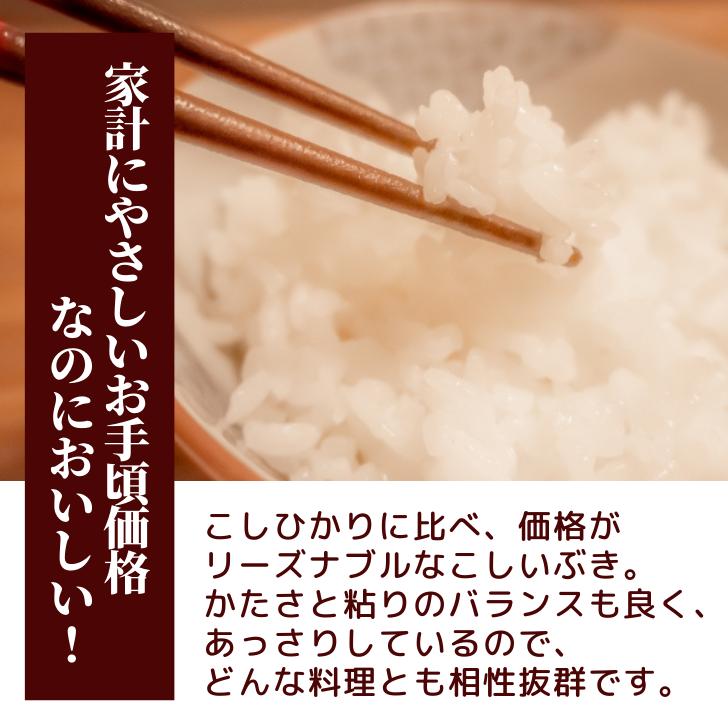 5年産 新潟産 こしいぶき 5kg 受注精米 お歳暮 冷めてもおいしい 新潟県産 米 白米 精米 減農薬 農家 直送 生産者 備蓄 ギフト 内祝 米5kg｜kgtomioka｜05