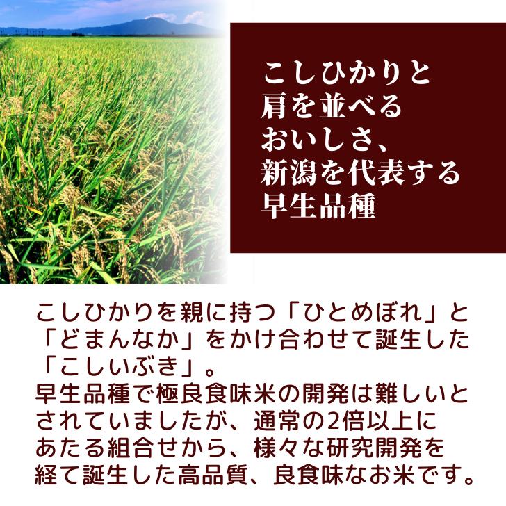 5年産 新潟産 こしいぶき 2kg 受注精米 お歳暮 冷めてもおいしい 新潟県産 米 白米 精米 減農薬 農家 直送 生産者 備蓄 ギフト 内祝｜kgtomioka｜07