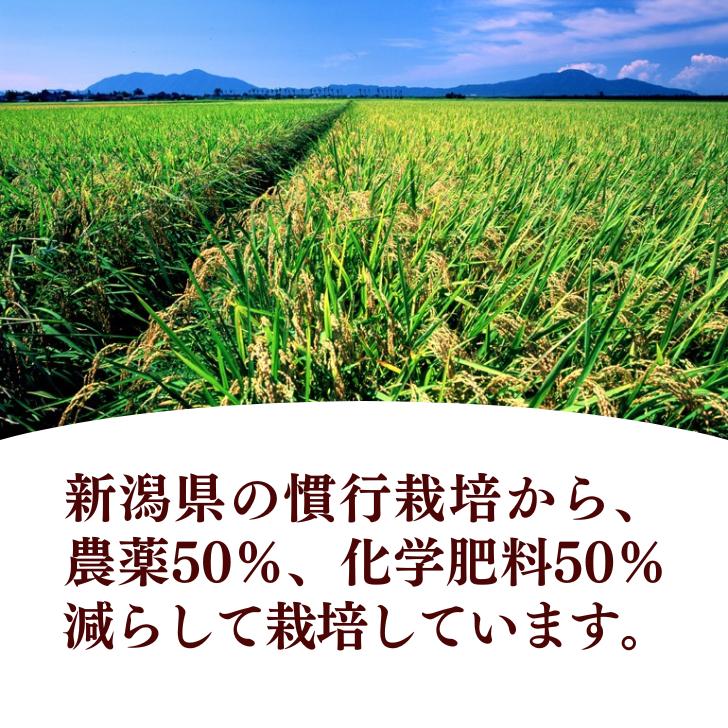 5年産 新潟 産 コシヒカリ 米 新潟産 こしひかり 2kg 受注精米 堆肥 育成 白米 精米 甘い もちもち ツヤツヤ 減農薬 農家 直送 生産者｜kgtomioka｜12