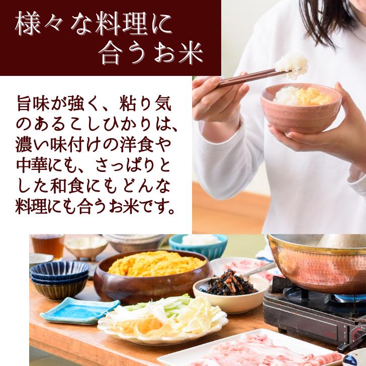 5年産 新潟 産 コシヒカリ 米 新潟産 こしひかり 2kg 受注精米 堆肥 育成 白米 精米 甘い もちもち ツヤツヤ 減農薬 農家 直送 生産者｜kgtomioka｜06