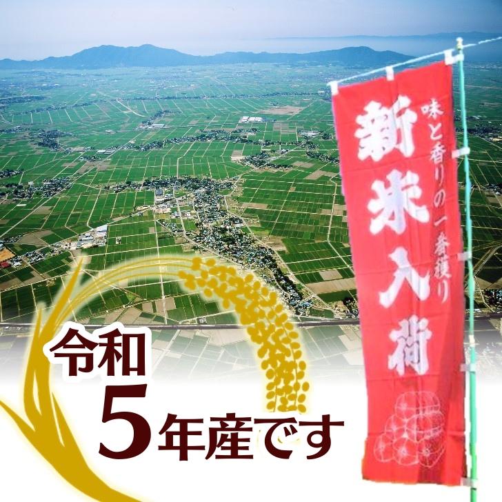 5年産 新潟 産 コシヒカリ 米 新潟産 こしひかり 2kg 受注精米 堆肥 育成 白米 精米 甘い もちもち ツヤツヤ 減農薬 農家 直送 生産者｜kgtomioka｜02