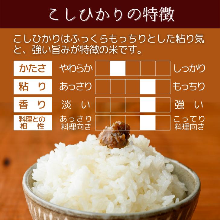 コシヒカリ　新米10キロ　精米済み　オマケ餅米2キロ　送料無料 コシヒカリ 新米10キロ 精米済み オマケ餅米2キロ 送料無料 楽天