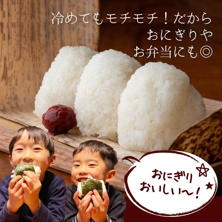 5年産 米 新潟 産 コシヒカリ 10kg 新潟 こしひかり 受注してから精米します 白米 精米 甘い 減農薬 農家 直送 新潟県産 ギフト 米 内祝い プレゼント｜kgtomioka｜04