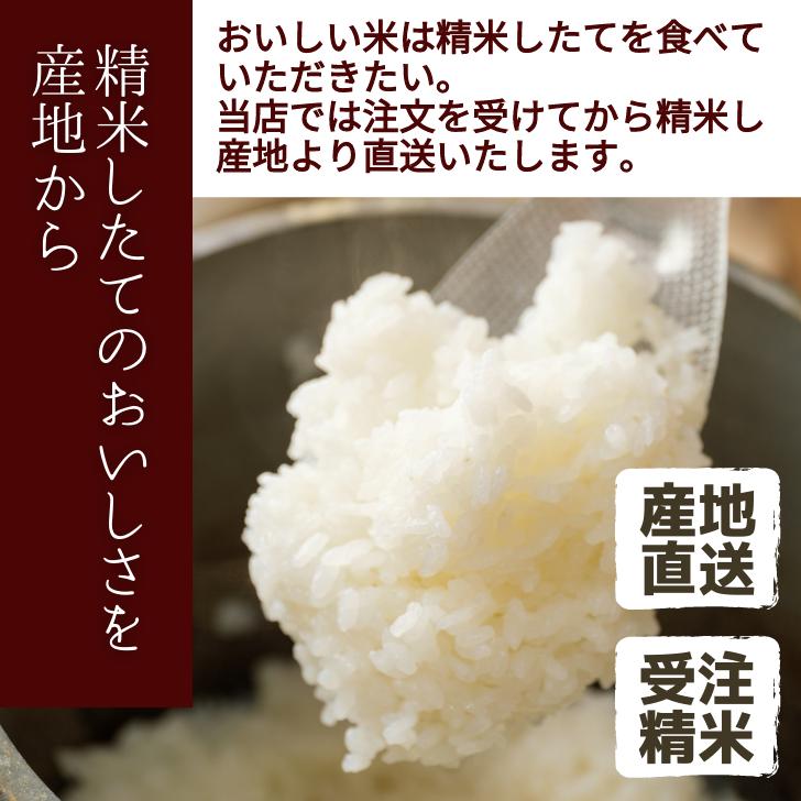 5年産 米 新潟産 こしひかり 900g 受注精米 堆肥 育成 白米 精米 甘い もちもち ツヤツヤ 減農薬 農家 直送 生産者 コシヒカリ 新潟県産 ギフト｜kgtomioka｜05