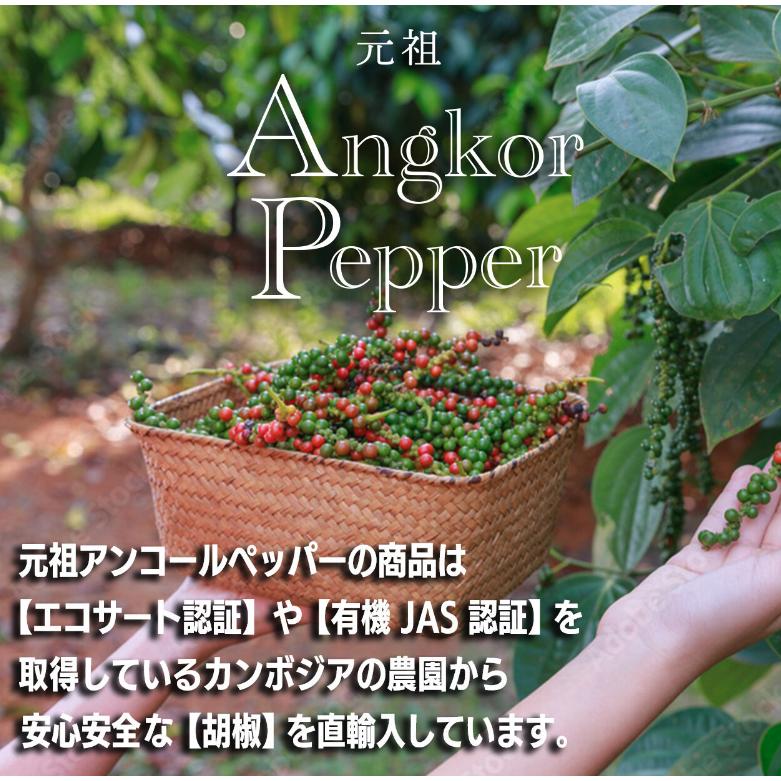 生アンコールペッパーペースト（チューブ）35g 持ち運び　キャンプ　バーベキュー　BBQ |  | 01