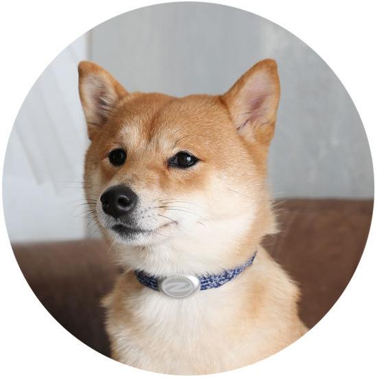 Zaoral（ザオラル）リカバリー・α（アルファ）バンド NV/SI（ネイビー/シルバー） B25021 | Cronos | 03