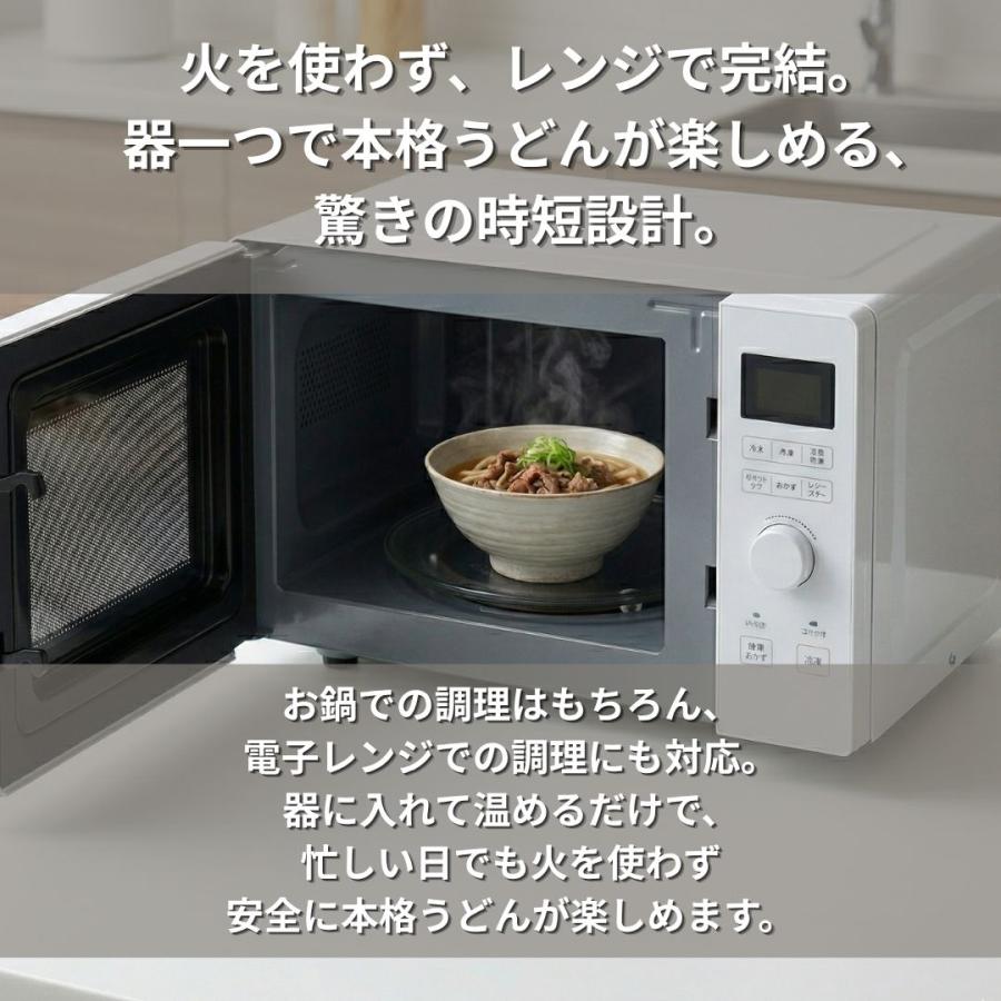 五木食品 うどん タカモリ 肉だしうどん 210g×2食 常温保存 生タイプ麺