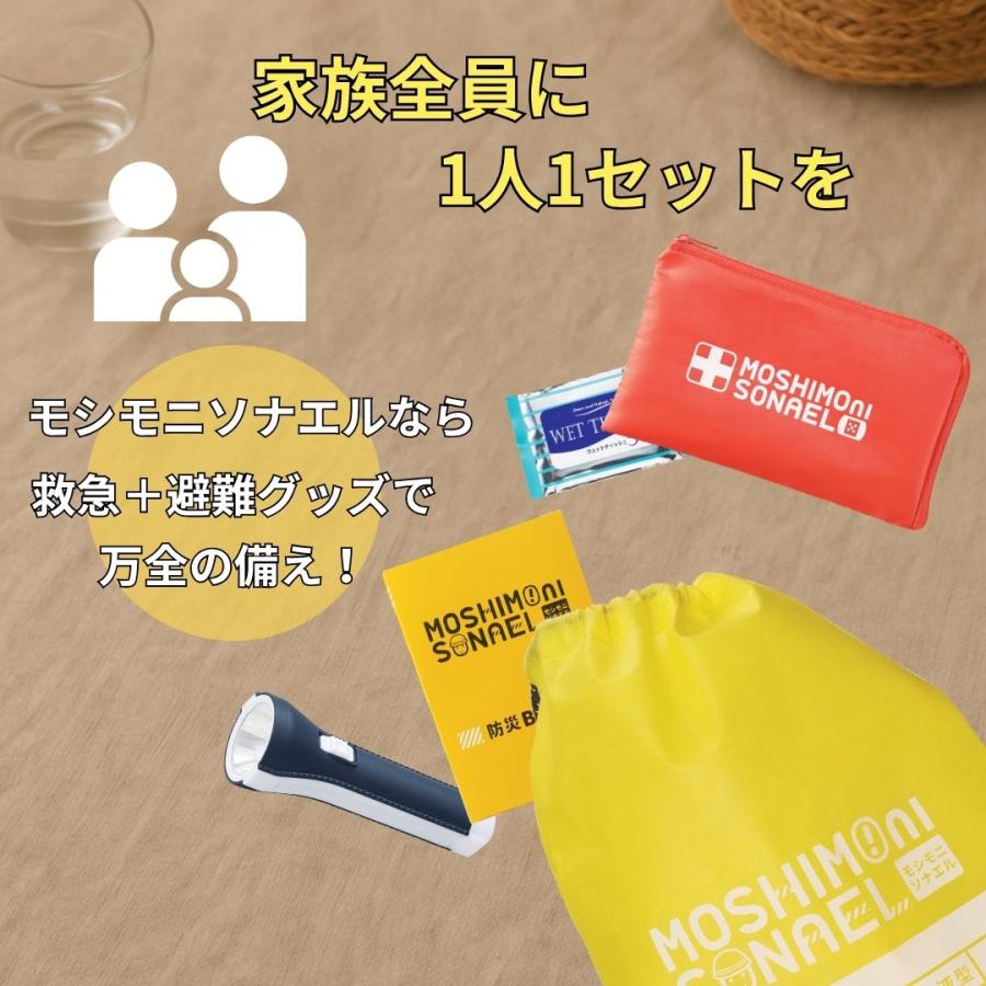丸辰 モシモニソナエル 防災15点セット 非常用持ち出しセット 避難