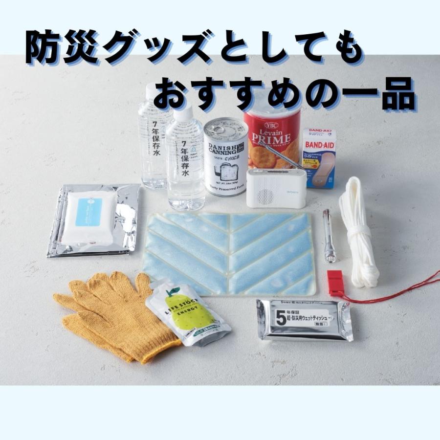 50個セット】ひんやりアイスシート 冷却シート 冷感シート PCM素材