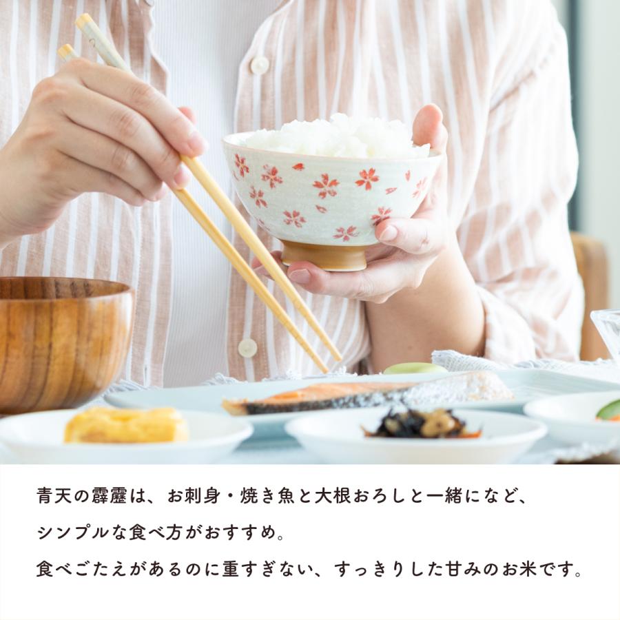 青森県産 青天の霹靂 お米 10kg（5kg×2） 精米 白米 おくさま印 食品 