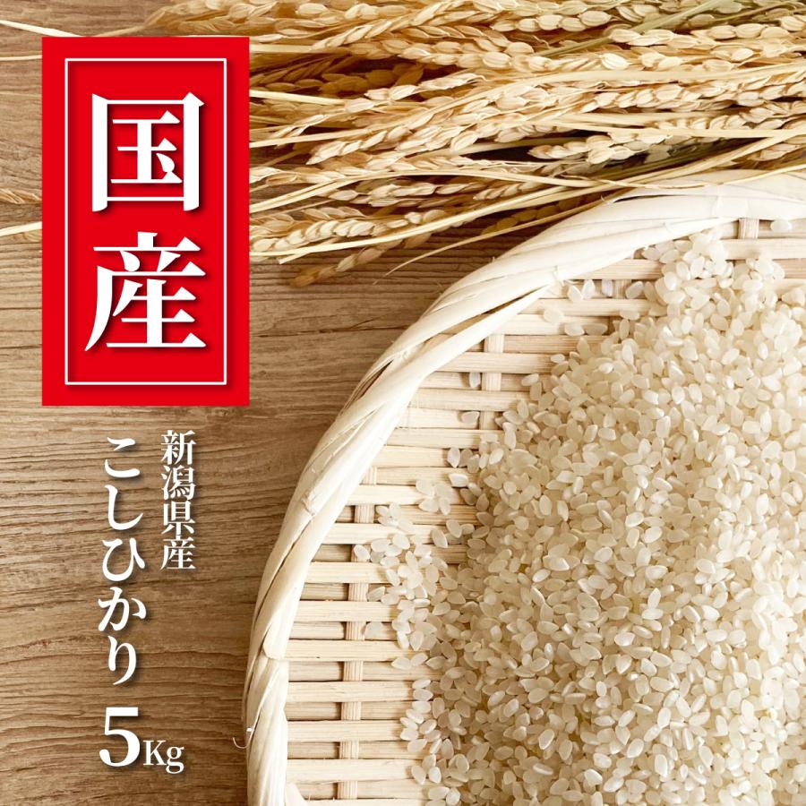 新潟県産 こしひかり お米 5kg 精米 白米 おくさま印 食品 国産 送料