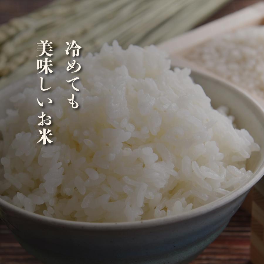 新潟県産 こしひかり お米 5kg 精米 白米 おくさま印 食品 国産 送料