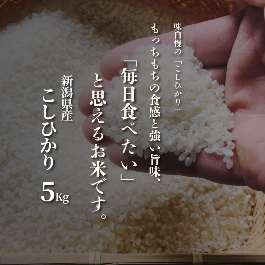 新潟県産 こしひかり お米 5kg 精米 白米 おくさま印 食品 国産 送料