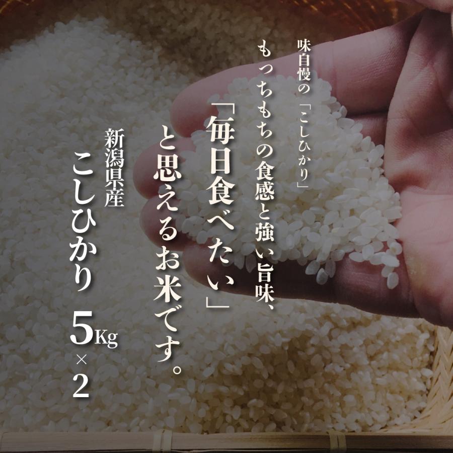 新潟県産 こしひかり お米 10kg（5kg×2） 精米 白米 おくさま印 食品