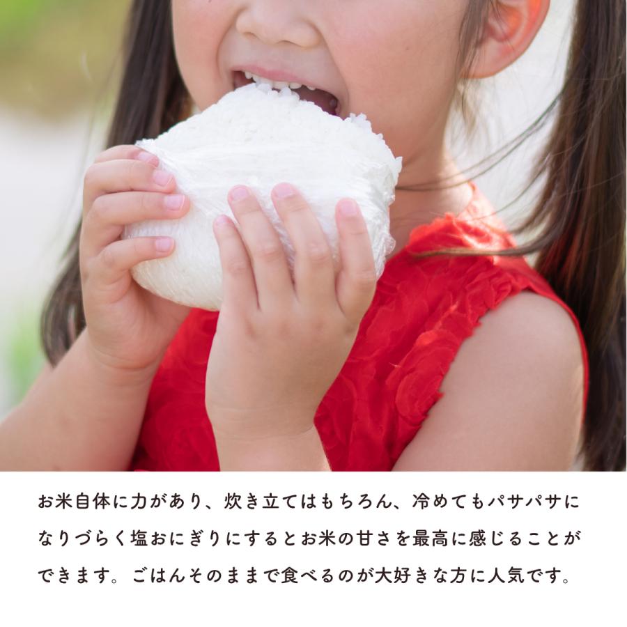 新潟県産 こしひかり お米 10kg（5kg×2） 精米 白米 おくさま印 食品