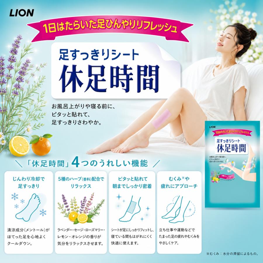 LION（ライオン） プチギフト 退職 粗品 引っ越し挨拶 休足時間 2枚入