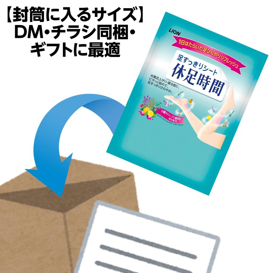 LION（ライオン） プチギフト 退職 粗品 引っ越し挨拶 休足時間 2枚入