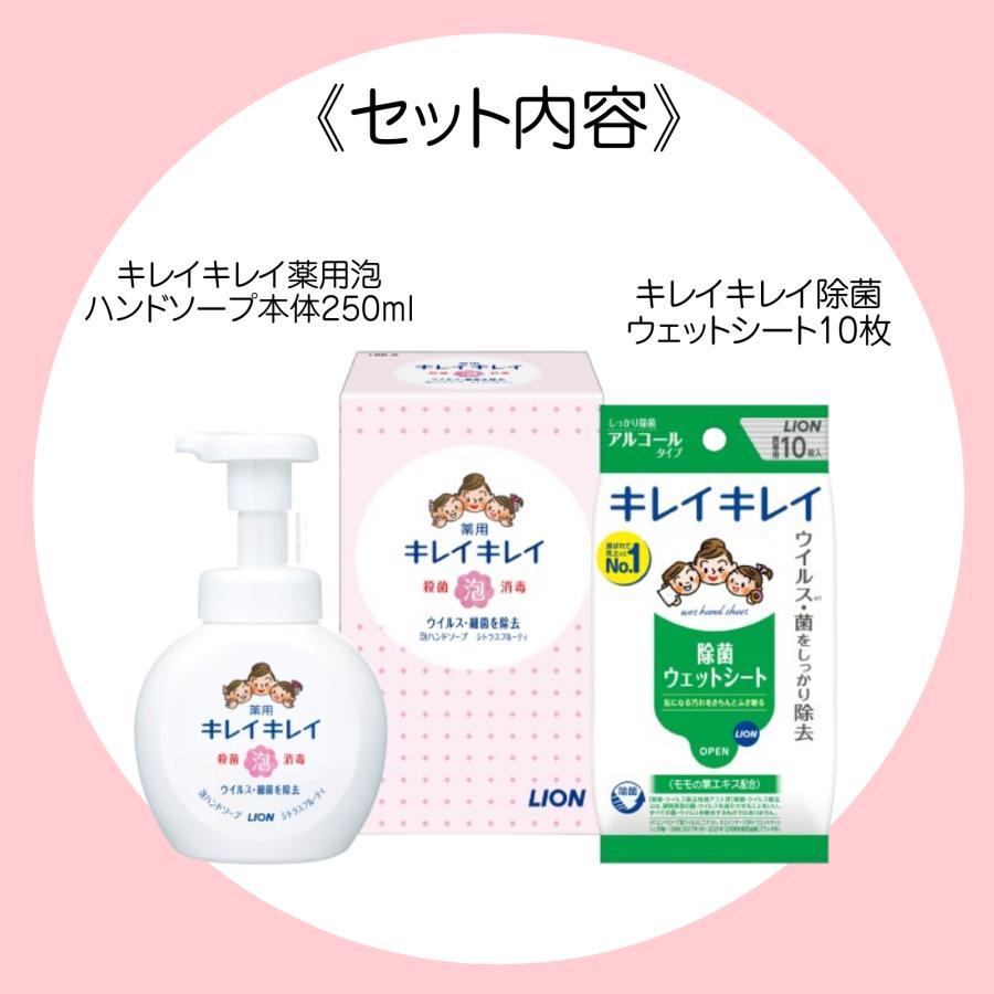 キレイキレイ 【のし+包装無料】単品販売 薬用泡ハンドソープセット