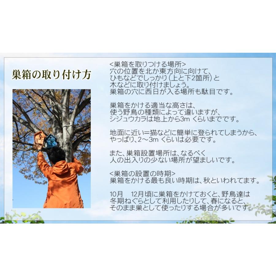 【野鳥用巣箱】バードハウスA（前扉タイプ）巣箱(完成品 無塗装)｜kibakoya｜10