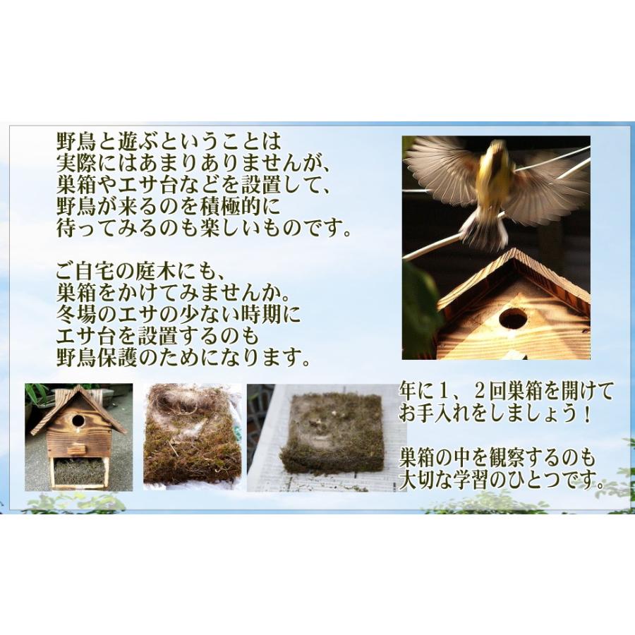 【野鳥用巣箱】職人手作り　焼き杉 バードハウスA（前扉タイプ）巣箱(完成品)｜kibakoya｜09