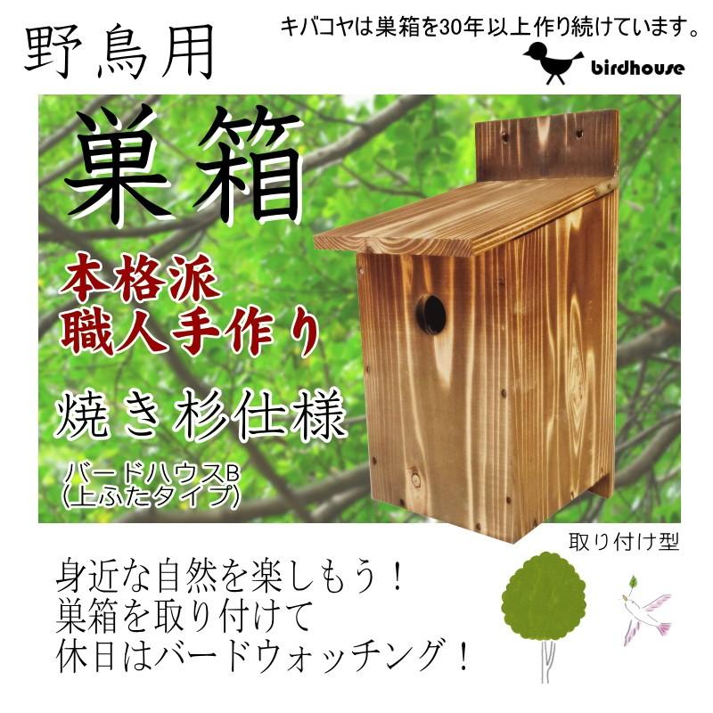 野鳥用巣箱】焼き杉巣箱 バードハウスB（上ふたタイプ）（縦型） : 木