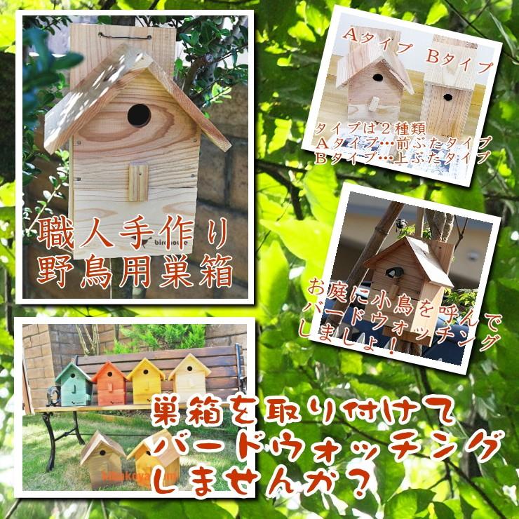 野鳥用巣箱】焼き杉巣箱 バードハウスB（上ふたタイプ）（縦型） : 木
