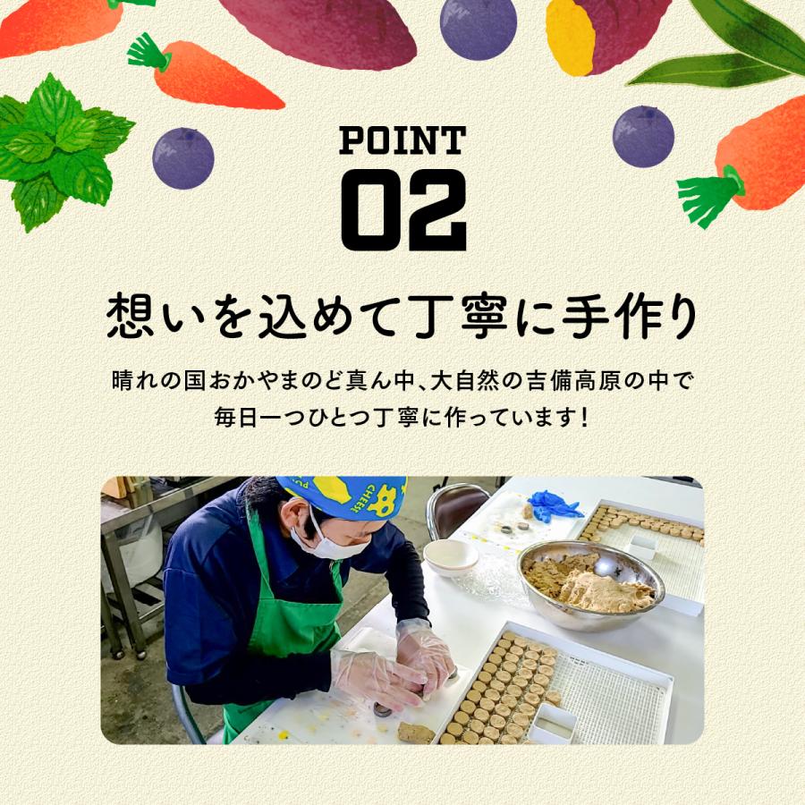 【お馬さん専用のおやつ：ホーストリーツ】岡山県吉備中央町産！今、話題の馬のおやつ！にんじん 400g｜kibi-paka｜04