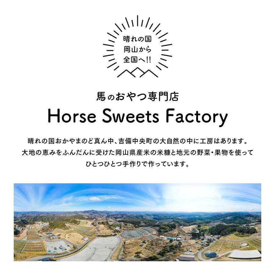 【お馬さん専用のおやつ：ホーストリーツ】岡山県吉備中央町産！今、話題の馬のおやつ！にんじん 400g｜kibi-paka｜09