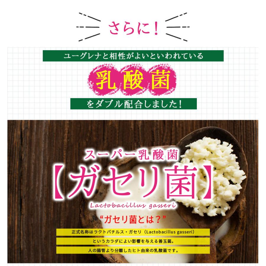 ユーグレナの恵み 90粒(300mg×90粒)サプリメント ガセリ菌 ミドリムシ スーパーフード 野菜酵素 コエンザイムQ10 送料無料｜kibi｜12