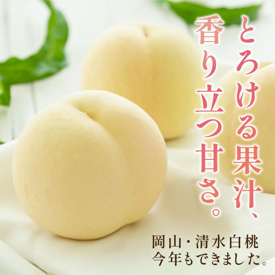 7月末より発送】【岡山県産】清水白桃・家庭用（2kg 6〜8玉） 贈答用